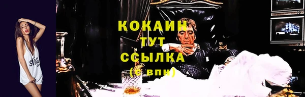 шишки Баксан