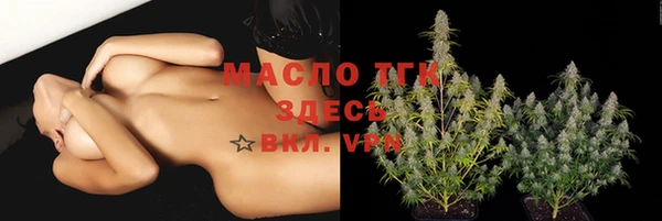 шишки Баксан