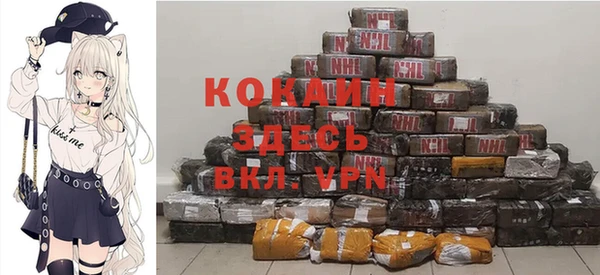 шишки Баксан