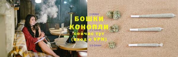 шишки Баксан